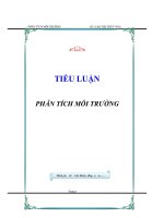 Tiểu luận Phân tích môi trường