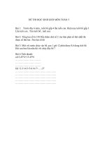 đề hsg môn toán 5 năm 2010 - 2011