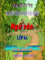 NV6 T.117 Ôn tập truyện và kí