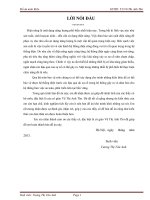 Đồ án môn học rơ le vành