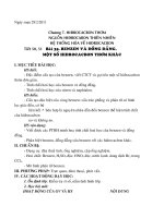 giao an hoa 11 bai 35-38