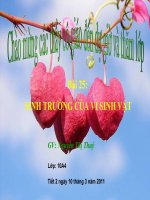 Bài 25: sinh trưởng của vi sinh vật