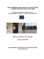 CÁC TAI BIẾN KHÍ hậu, NGUY cơ về sức KHỎE và BIỆN PHÁP ỨNG PHÓ ở VIỆT NAM