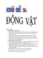 GIÁO ÁN CHƯƠNG TRÌNH GDMN MỚI-CHỦ ĐỀ ĐỘNG VẬT