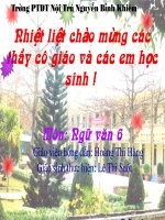 tiết 113 lao xao