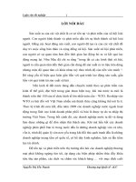 luận văn quản trị chất lượng    Giải pháp nâng cao hiệu quả tiêu thụ sản phẩm tại công ty TNHH hạt giống CP Việt Nam.DOC