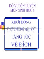 do vui on luyen sinh 6 - ki 1