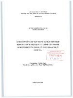 Ảnh hưởng của sự tập trung sở hữu đến hoạt động đầu tư và hiệu quả tài chính của doanh nghiệp nhà nước cổ phần hóa ở nước ta