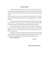 luận văn thạc sĩ  CHẤT LƯỢNG THẨM ĐỊNH TÀI CHÍNH DỰ ÁN ĐẦU TƯ VỐN ODA