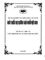 Phát triển thị trường trái phiếu Việt Nam  Thân Thị Thu Thủy.  TP.HCM  Trường Đại Học Kinh Tế