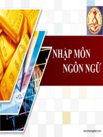 ý nghĩa từ vựng và ý nghãi ngữ pháp