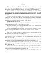 nghiên cứu luận án tiến sĩ chế tạo và tính chất của các nano tinh thể bán dẫn cấu trúc nhiều lớp cdse znse zns được chức năng hóa bề mặt nhằm ứng dụng chế tạo cảm biến huỳnh quang xác định một số loại thuốc trừ sâu