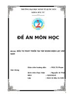 đồ án tốt nghiệp ĐẦU TƯ PHÁT TRIỂN TẠI TẬP ĐOÀN ĐIỆN LỰC VIỆT NAM