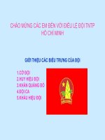 CÁC BIẺU TRƯNG CỦA TỔ CHỨC ĐỘI