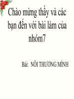 Phân tích bài Nổi thương mình của Nguyễn Du