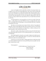 Đồ án tốt nghiệp khoa xây dựng Chung cư Sông Phố thành phố Biên Hòa