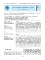 So sánh quá trình chế biến cá tra tại nhà máy chế biến thủy sản chất lượng của vi sinh vật tổng số