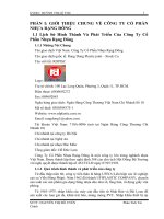 luận văn quản trị tài chính  PHÂN TÍCH TÌNH HÌNH TÀI CHÍNH CỦA CÔNG TY CỔ PHẦN NHỰA RẠNG ĐÔNG