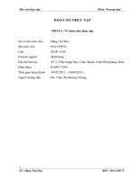 Báo cáo tổng hợp về tình hình hoạt động sản xuất kinh doanh của công ty Goldsun