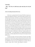 thảo luận Big C Việt Nam với chiến lược cạnh tranh dựa trên chi phí thấp