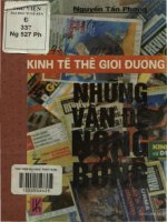 Kinh tế thế giới đương đại, những vấn đề nóng bỏng