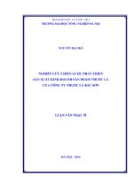 Nghiên cứu chiến lược phát triển sản xuất kinh doanh sản phẩm thuốc lá của công ty thuốc lá bắc sơn