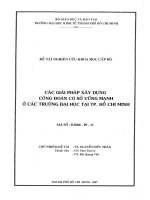 Các giải pháp xây dựng Công đoàn cơ sở vững mạnh ở các Trường đại học tại TP.HCM (Kèm bảng tóm tắt)