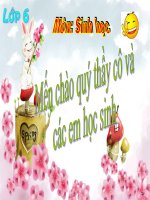 bai 47- thực vật góp phần điều hòa khí hậu