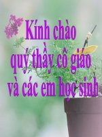 bài 41: Bảo quản hạt, củ làm giống