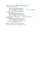 Wish clauses (Mệnh đề mong ước)