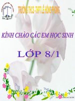 Giáo án bồi dưỡng thao giảng, thi giáo viên hoá học lớp 8 Bài 6 Đơn chất và hợp chất - phân tử (13)
