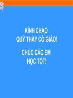 Giáo án điện tử về chuyển động ném ngang - Trần Thị Thanh Tâm