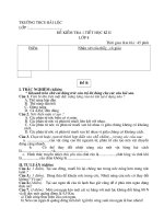 Đề KT lí 8 - HKII(Cần tham khảo góp ý)