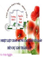 Giáo án bồi dưỡng thao giảng, thi giáo viên hoá học lớp 8 Bài 6 Đơn chất và hợp chất - phân tử (16)