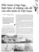 Đầu Xuân Giáp Ngọ, luận bàn về những vấn đề của nền kinh tế Việt Nam