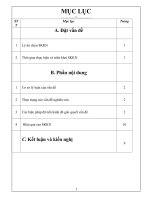 SKKN - UDCNTT vào soạn bài giảng điện tử có sử dụng thí nghiệm thực hành