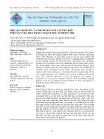 Hiệu quả kinh tế các mô hình canh tác phù hợp trên đất ven biển huyện Thạnh Phú, tỉnh Bến Tre