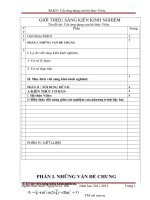 SKKN Các ứng dụng của hệ thức Viét