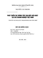 luận văn quản trị kinh doanh Đề án phát triển thị trường tiêu thụ nước giải khát tại các doanh nghiệp việt nam