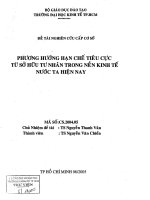 Phương hướng hạn chế tiêu cực từ sở hữu tư nhân trong nền kinh tế nước ta hiện nay