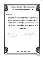 Nghiên cứu các biện pháp kỹ thuật tổng hợp nhằm nâng cao năng suất, chất lượng và hiệu quả kinh tế của thuốc lá vàng sấy ở tỉnh Khánh Hoà
