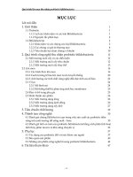 Quá trình lên men thu nhận probiotic bifidobacteria