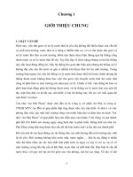 Khảo sát thực tế và đánh giá hiện trạng hệ thống thoát nước tại NMXLNT Bình Hưng