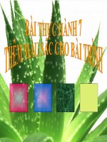 BÀI 18 CHÈN HÌNH ẢNH ĐỂ MINH HỌA