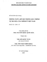 Phòng ngừa rủi ro trong quá trình tự do hóa tài chính ở Việt Nam