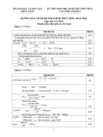 ĐỀ, ĐÁP ÁN THI HSG HÓA 9 2010-2011