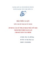 Tiểu luận môn Hệ hỗ trợ quyết định ÁP DỤNG CÁC KỸ THUẬT KHAI THÁC DỮ LIỆU NHẰM PHÁT HIỆN GIAN LẬN CHO KẾ TOÁN TÀI CHÍNH