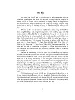 Nghiên cứu về kinh tế thị trường định hướng xã hội chủ nghĩa ở việt nam