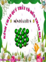 Giáo án bồi dưỡng thao giảng, thi giáo viên hoá học lớp 8 Bài 6 Đơn chất và hợp chất - phân tử (50)