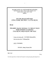 Tiểu luận môn CÔNG NGHỆ TRI THỨC VÀ ỨNG DỤNG TÌM HIỂU MẠNG NEURAL VÀ THUẬT TOÁN PERCEPTRON LEARNING ỨNG DỤNG NHẬN DẠNG THƯ RÁC